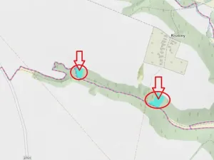 Prodej lesa, Velké Všelisy, 8197 m2