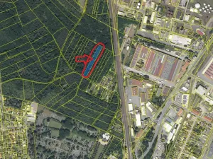 Prodej podílu lesa, Kolín, 877 m2