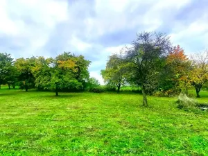 Prodej pozemku pro bydlení, Pecka, 1250 m2