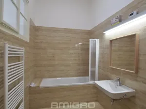 Pronájem bytu 1+1, Brno, Česká, 55 m2