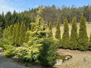 Prodej rodinného domu, Vojkov, 194 m2