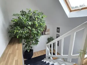 Prodej rodinného domu, Milotice nad Opavou, 180 m2