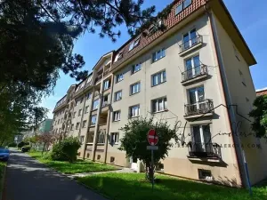 Prodej bytu 2+1, Hranice, Obránců míru, 60 m2