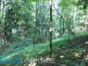 Prodej pozemku, Dolní Dobrouč, 4634 m2