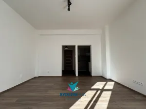 Pronájem bytu 1+kk, Ústí nad Labem, Bratislavská, 45 m2