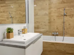 Pronájem bytu 2+kk, Ostrava, Petra Křičky, 60 m2