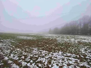 Dražba pole, Mrákotín, 2398 m2