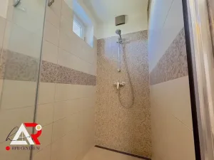 Prodej rodinného domu, Velešovice, 451 m2