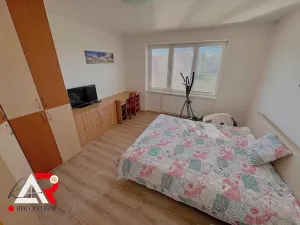 Prodej rodinného domu, Velešovice, 451 m2