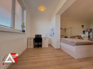 Prodej rodinného domu, Velešovice, 451 m2