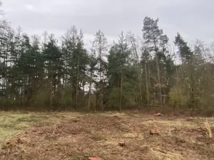 Prodej lesa, Blížejov - Lštění, 4624 m2