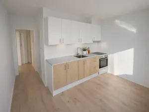 Prodej bytu 1+1, Plzeň, Tachovská, 40 m2