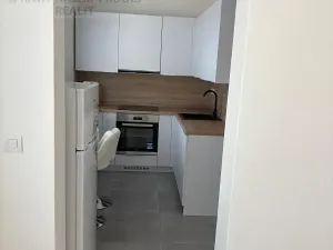 Pronájem bytu 1+1, Ostrava, Zeyerova, 28 m2