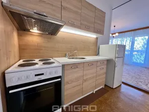 Prodej bytu 2+kk, Brno, Labská, 45 m2