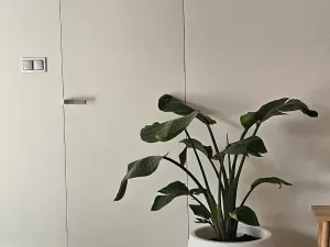 Prodej vily, Hluboká nad Vltavou, 286 m2