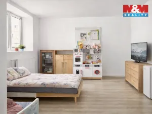 Prodej rodinného domu, Libina, 170 m2