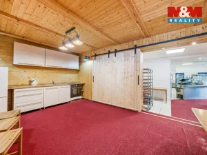 Prodej ubytování, Čenkovice, 297 m2