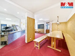 Prodej ubytování, Čenkovice, 297 m2