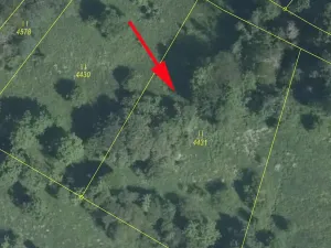 Prodej louky, Železný Brod, 2848 m2