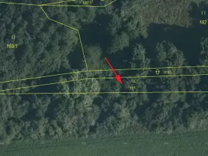 Prodej sadu/vinice, Mašťov, 553 m2