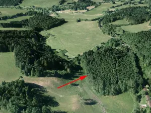 Prodej lesa, Horní Dvořiště, 1471 m2