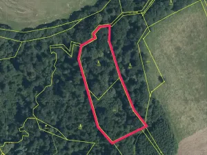 Prodej lesa, Český Těšín, 6540 m2