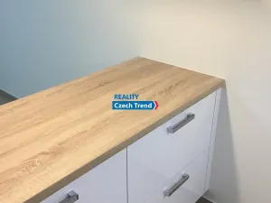 Pronájem bytu 1+kk, Olomouc, Čajkovského, 30 m2