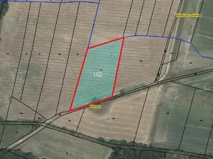 Prodej pole, Býchory, 7688 m2