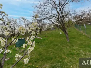 Prodej rodinného domu, Boršice u Blatnice, 105 m2