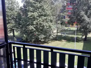 Pronájem bytu 1+1, Frýdlant nad Ostravicí, 38 m2