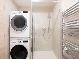 Pronájem bytu 1+kk, Brno, Mezírka, 42 m2