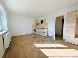 Pronájem bytu 2+kk, České Budějovice, Suchovrbenské nám., 44 m2