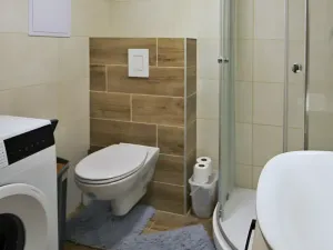 Pronájem bytu 1+kk, Brno, Koliště, 31 m2