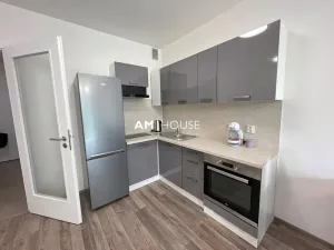 Pronájem bytu 1+kk, Praha - Vysočany, Kabešova, 32 m2