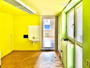 Pronájem skladu, České Budějovice, Mánesova, 130 m2