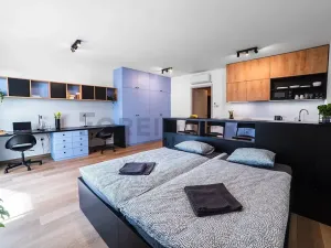 Pronájem bytu 1+kk, Olomouc, Edmunda Husserla, 43 m2