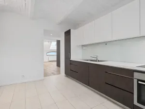 Pronájem bytu 3+1, Praha - Bubeneč, U akademie, 130 m2