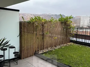 Pronájem bytu 2+kk, Praha - Holešovice, Jankovcova, 63 m2