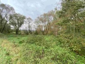 Prodej pozemku, Horní Dvořiště, 10042 m2