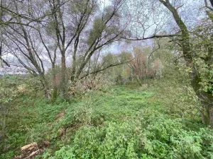 Prodej pozemku, Horní Dvořiště, 10042 m2