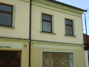 Pronájem obchodního prostoru, Hranice, 40 m2