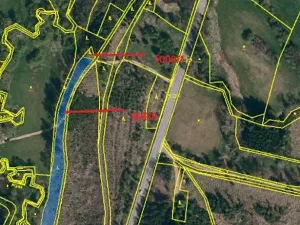 Prodej lesa, Cerekvička-Rosice, 2498 m2