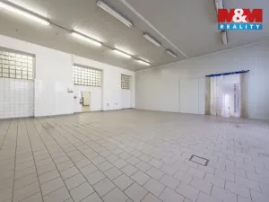 Pronájem skladu, Nymburk, Jičínská, 320 m2