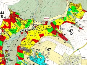 Dražba lesa, Čestín, 13976 m2
