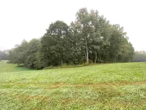 Dražba pozemku, Helvíkovice, 1994 m2