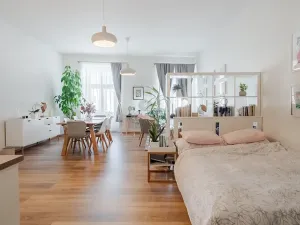 Prodej vícegeneračního domu, Litomyšl, Smetanovo náměstí, 459 m2