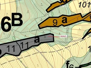 Dražba lesa, Hovězí, 788 m2