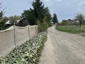 Pronájem zahrady, Praha - Dubeč, Dubečské Horky, 300 m2