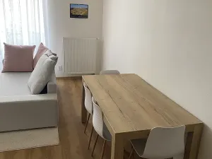 Pronájem bytu 2+kk, České Budějovice, Volejbalistů, 50 m2