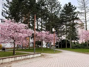 Prodej bytu 2+1, Kladno, Wednesbury, 50 m2